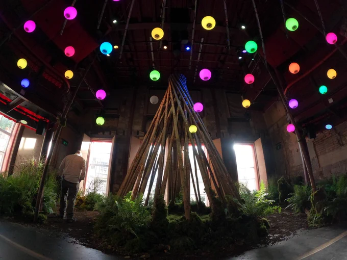 a room with a floor of plants, in the centre is a circle of large twigs leaning against each other. Above these are coloured orbs glowing in yellow, pink, green and blue.  