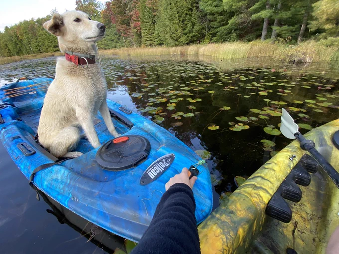 Flame sits tall in her kayak. An arm reaches out from an adjacent kayak and grabs the handle on the end of Flame’s boat. They’re surrounded by lily pads and floating in shallow water.