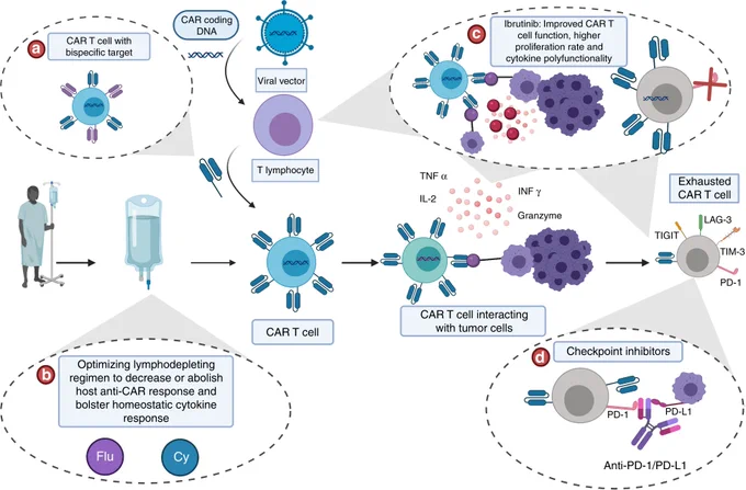 Key targetable avenues to improve outcomes after CAR T-cell therapy
