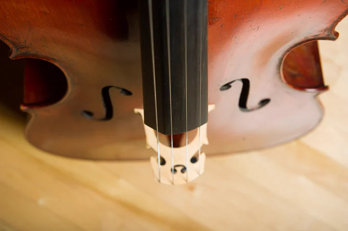 Choosing the Right Cello Strings