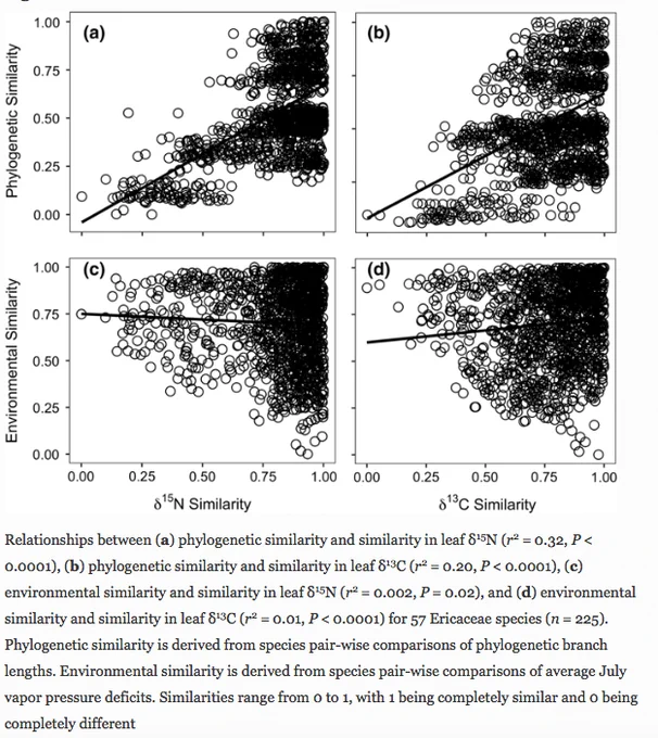 Figure 2 from Goud & Sparks 2018 Oecologia showing a stronger relationship between phylogeny than environment on variation in leaf carbon and nitrogen stable isotopes. https://doi.org/10.1007/s00442-018-4186-3