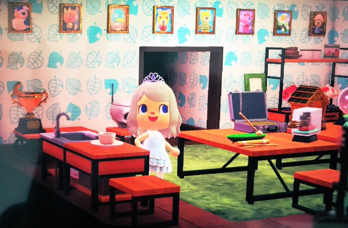 My display of animal crossing photos
