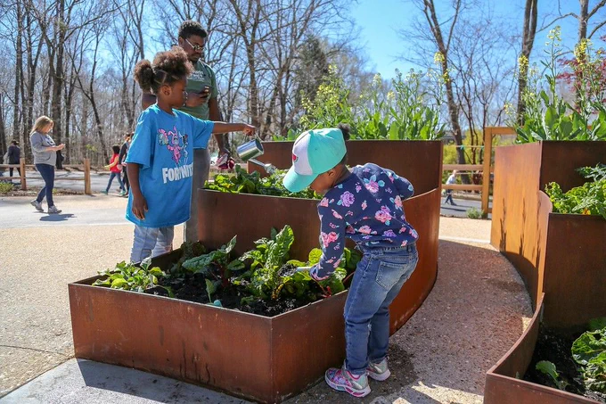 Two kids water vegetables in raised beds