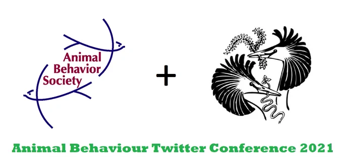 Animal Behaviour Twitter Conference 2021