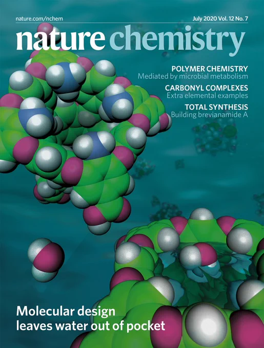 Front cover of July 2020 issue of Nature Chemistry featuring two designed cavitands, one wet and one dry.