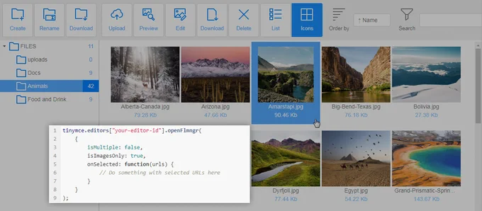 Call Flmngr file manager programmatically