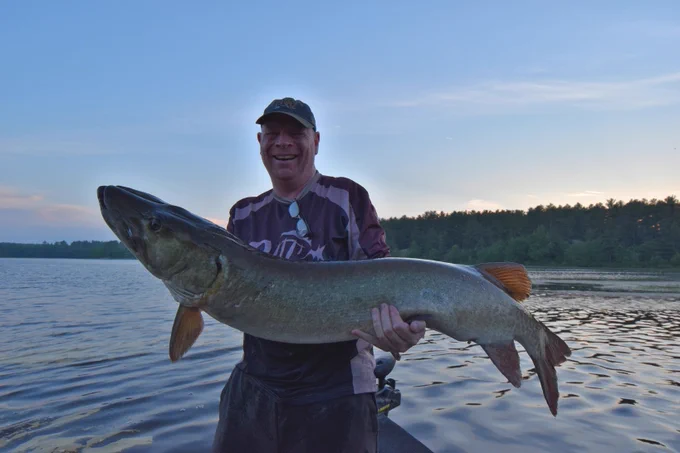 George Taylor holding a 53 inch French River Musky
