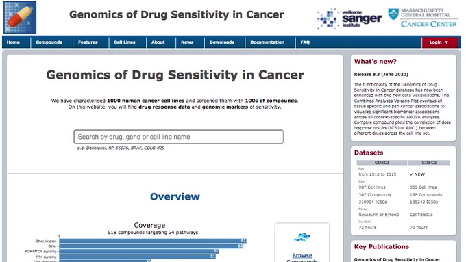 GDSC homepage