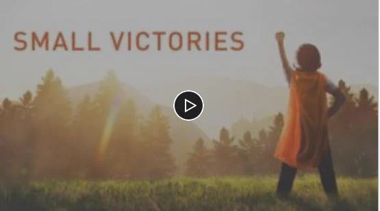 Small Victories Video