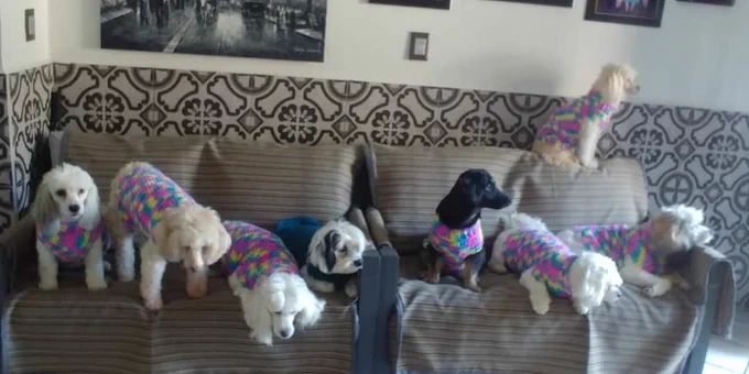 Toda mi hermosa familia