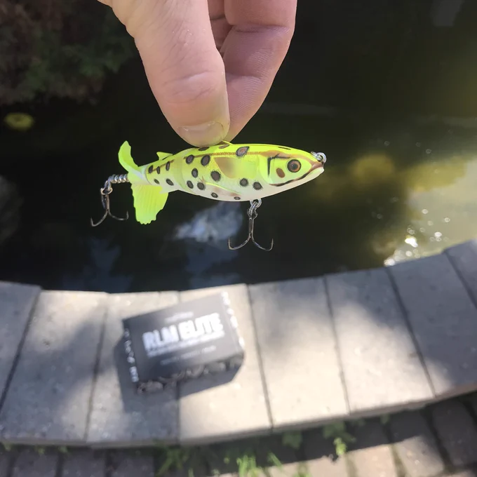 Jointed hardbait fishing lure from Chasebaits