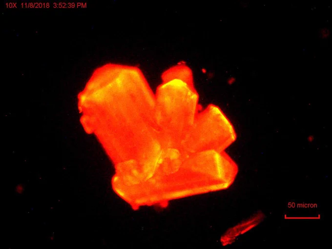 Crystals of a curium-containing compound. Credit: Thomas Albrecht-Schmitt, originally published in Nature.