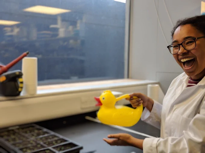 Very big smile while watering Arabidopsis with a yellow duck shaped watering can