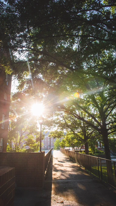 Sunshine during golden hour on South Green at Ohio University's Athens campus