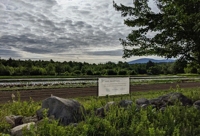 View of Mt. Kearsarge looking across the Messer Farm agricultural fields from Rt. 114 in New London.