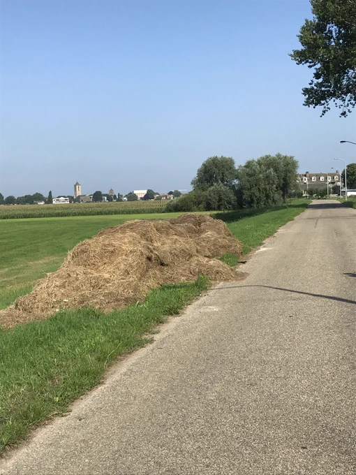 Efficiënt boeren....tja ... hier ligt al ruim een week een deel van de tweede snee te verworden. Het ligt trouwens op openbaar terrein.
Wat moet je daar nu op zeggen...@nknijf