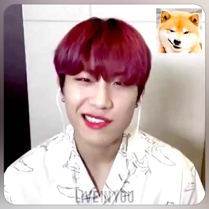 Wish the dog smirk on the left side so i can see Woojinie's snaggletooth☺