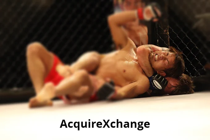 mma, mixed martial arts, japan