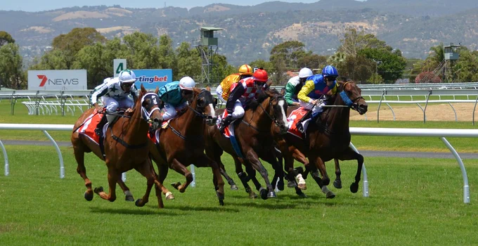 horse racing, riding, betting