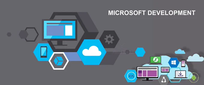 microsoft-development-services