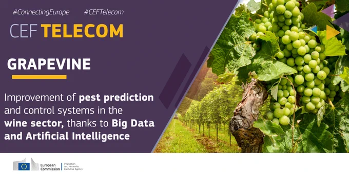 #BigData and Artificial Intelligence applied to the wine sector by GRAPEVINE, a #CEFTelecom project