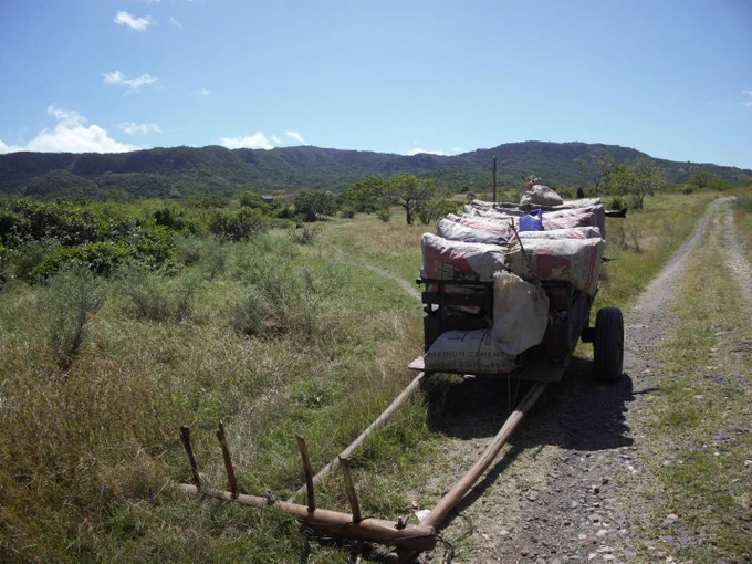 Bags of charcoal ready for transport to Antsiranana with ‘Beantely’ forest fragment targeted for protection in background.