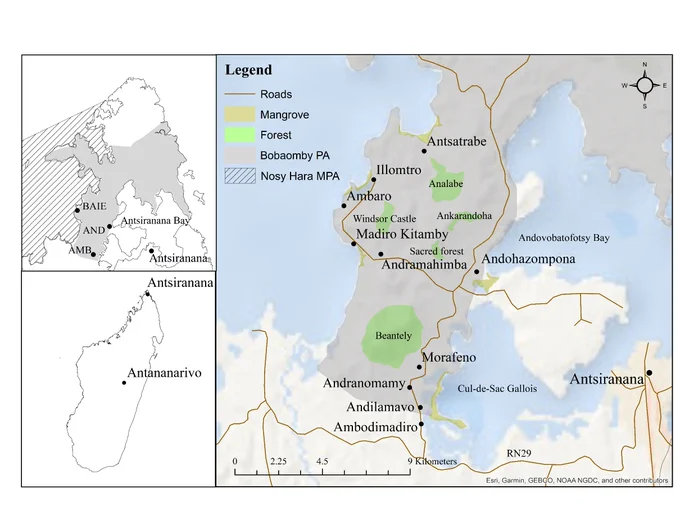 The landscape consisted of fragmented secondary dry deciduous forest & littoral forest w/in a matrix of anthropogenic wooded savannah. The coasts comprised mangroves, mudflats & coral reefs. 