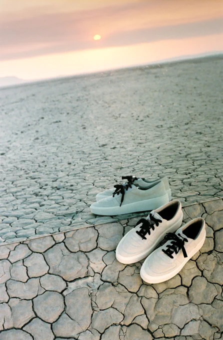 Skate Low