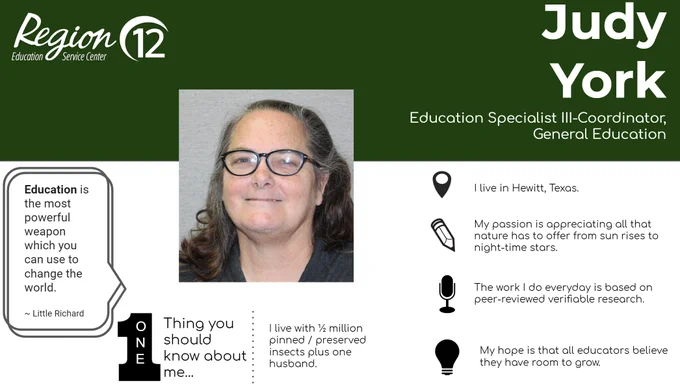 About Judy York