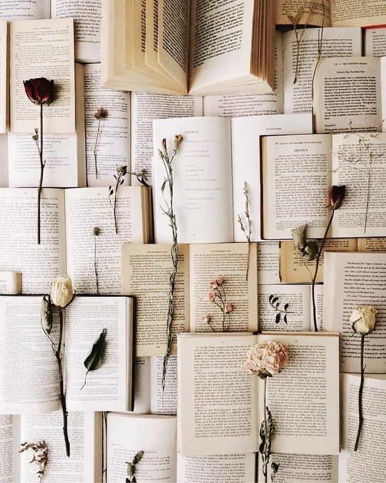 Imagem com vários livros abertos, em cima de cada deles tem uma flor seca.