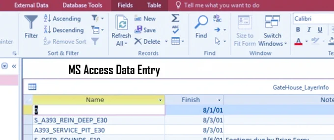 ms access data entry services
