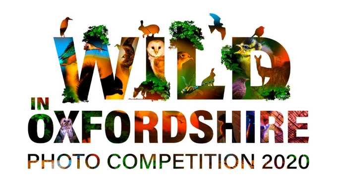 Wild in Oxfordshire Photo Competition
