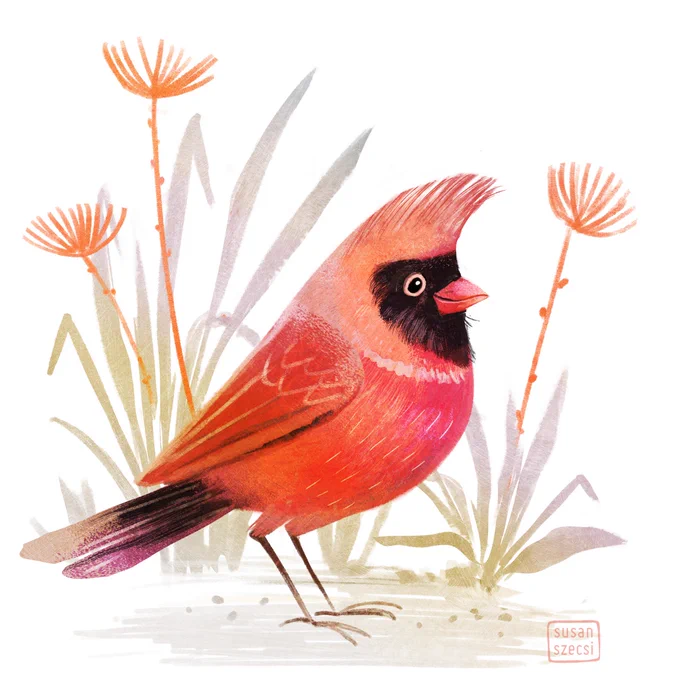 Children's book illustration, Bird with #Personality. :)