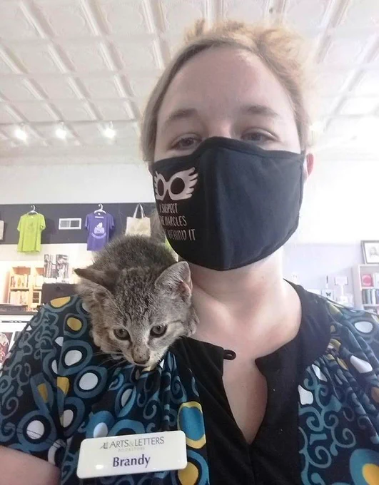 Arts & Letters Bookstore, Granbury, Tex., showcased its new feline bookseller on Facebook, posting: "We would like to introduce you all to our latest employee. Her name is Minerva, and she is about 8 weeks old. Her favorite pastimes are meowing and playing with her toy mouse. So come by and say hi to our special little bookstore cat!"