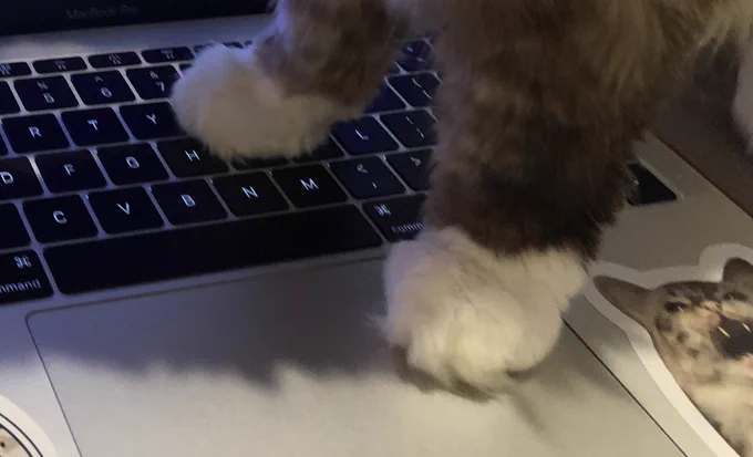 A close up on an Apple MacBook keyboard, with a sticker of Pamcake screaming on it. Two cat’s paws are standing on the keyboard.