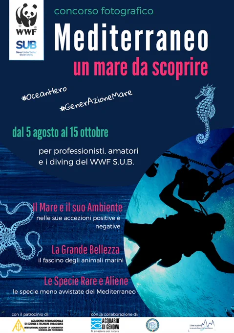Un mare da scoprire WWF SUB