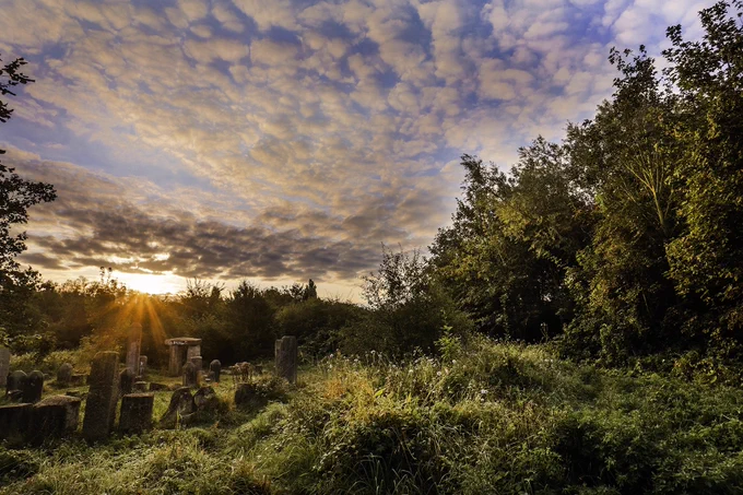 A bright blue sky with a smattering of peach clouds with a bright orange sun peeking over the horizon. The trees and meadow plants in the foreground are a deep vibrant green with the dragon stones highlighted by direct sunbeams.