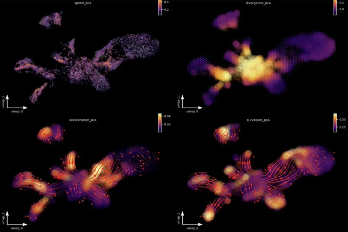 vector field analysis of zebrafish pigmentation: https://dynamo-release.readthedocs.io/en/latest/zebrafish.html#