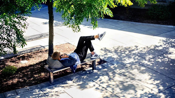A student laying on a bench under a tree talking on the phone.