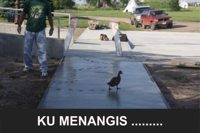 Adalah penting menaruh binatang pada tempatnya.
Selamat berakhir pekan dari POJATEK.
.
.
Ulas kami di Google Map dan kunjungi website kami di www.pokohjayateknik.com untuk melihat berbagai informasi seputar mesin dan alat konstruksi yang kami sewakan. Percayakan segala kebutuhan mesin, alat teknik, dan konstruksi Anda ke POJATEK.
.
.
Pokoh Jaya Teknik (POJATEK) - Help Your Work!
#PokohJayaTeknik #POJATEK #HelpYourWork #PersewaanAlatTeknik #PersewaanAlatKonstruksi #PersewaanAlatProyek #PersewaanPowerTrowel #PersewaanBabyRoller #PersewaanBarCutter #PersewaanBarBender #PersewaanMolenSemen #PersewaanGenset #PersewaanVibratorCor #PersewaanStamperJogja #PersewaanPemadatTanah #PersewaanPemadatPaving #PersewaanPemadatAspal #PersewaanJackDrill #PersewaanBorJogja #PersewaanCutterBeton #PersewaanMesinCoring #PersewaanGensetEvent #Bebek #PekingDuck #ReadyMix #RoastedDuck #memeengineering #infoJogja #JogjaIstimewa #JogjaBisa