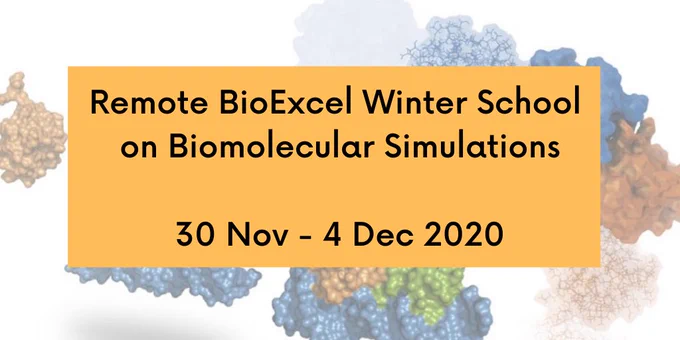 Remote BioExcel Winter School on Biomolecular Simulations to be held from 30 Nov - 4 Dec 2020.