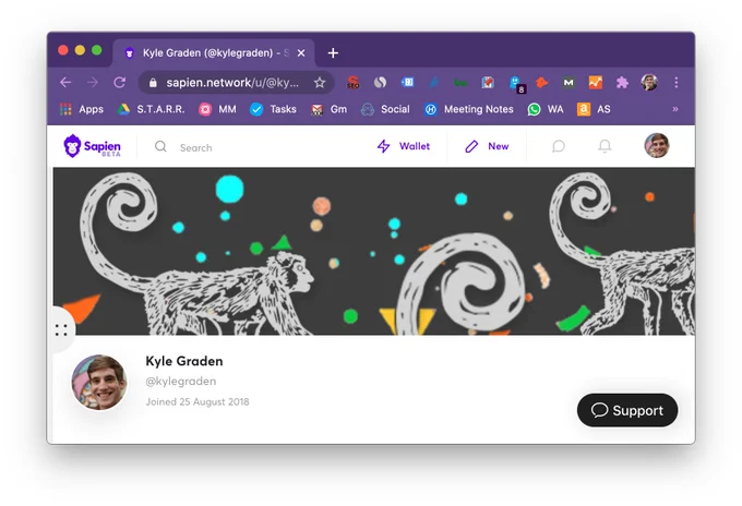 Screenshot of Kyle Graden's profile on the Sapien Network.