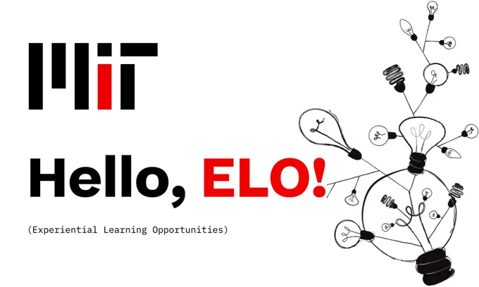 MIT Experiential Learning Opportunity website landing page with light bulb graphics.