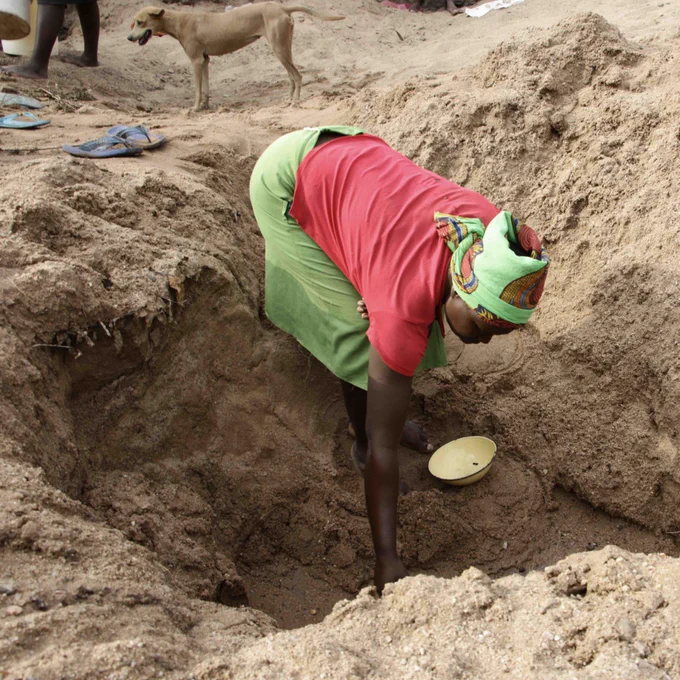 Travelling with dogs in the forest when searching for water increases human-wildlife conflict