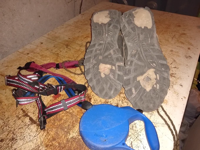 Worn out shoes and dog leash