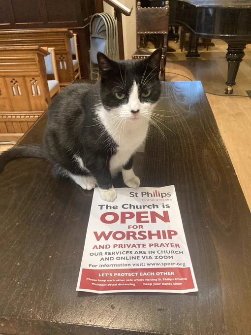 Black and white cat sitting upright on the altar next to a poster giving details of the services
