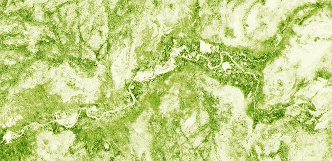 High resolution tree height map of Yosemite Valley in California