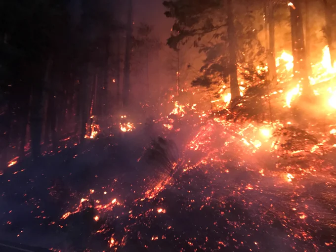 A forested hill side burns in the early morning hours on the north side of SR 410 east of Enumclaw.