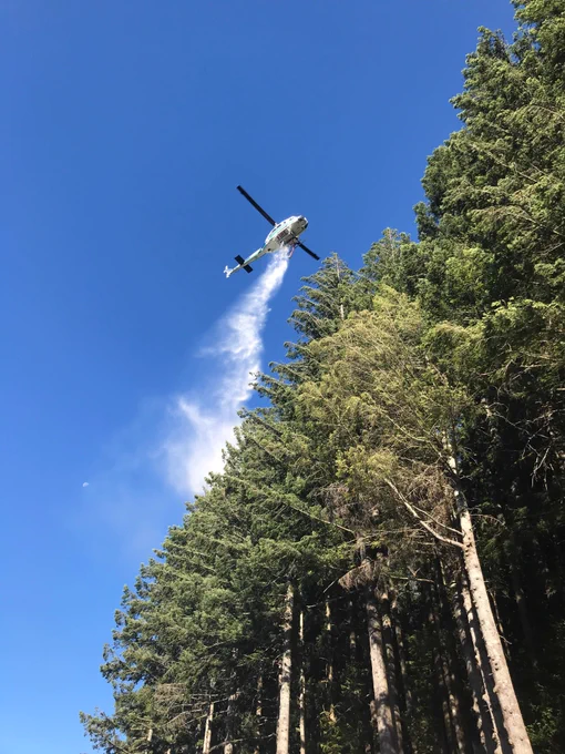 A helicopter dumps liquid on trees with blue skies in the background.