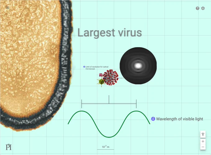 A background grid with the grid size labeled as 10^-7 m (10 to the power of -7 meters, or 0.1 microns). Taking up a large part of the image is an orange and black oval-shaped thing labeled "largest virus" and at the bottom is a wavy line that crosses several grid lines labeled "wavelength of visible light". There's a diffraction pattern near the center labeled "limit of resolution for optical microscope" and in the middle, taking up about one square of the grid, is an illustration of a coronavirus.
